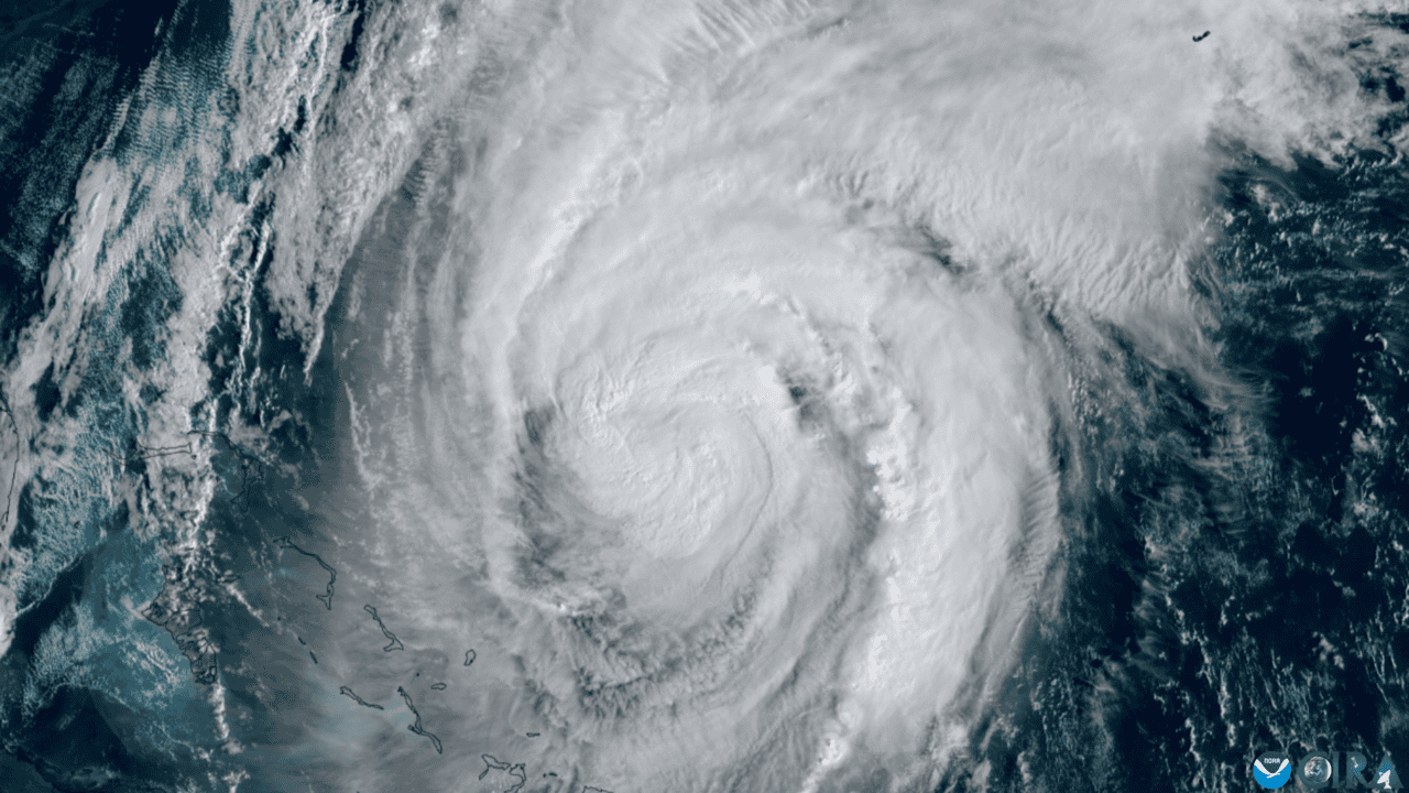 Can Shark Oil Predict a Hurricane?