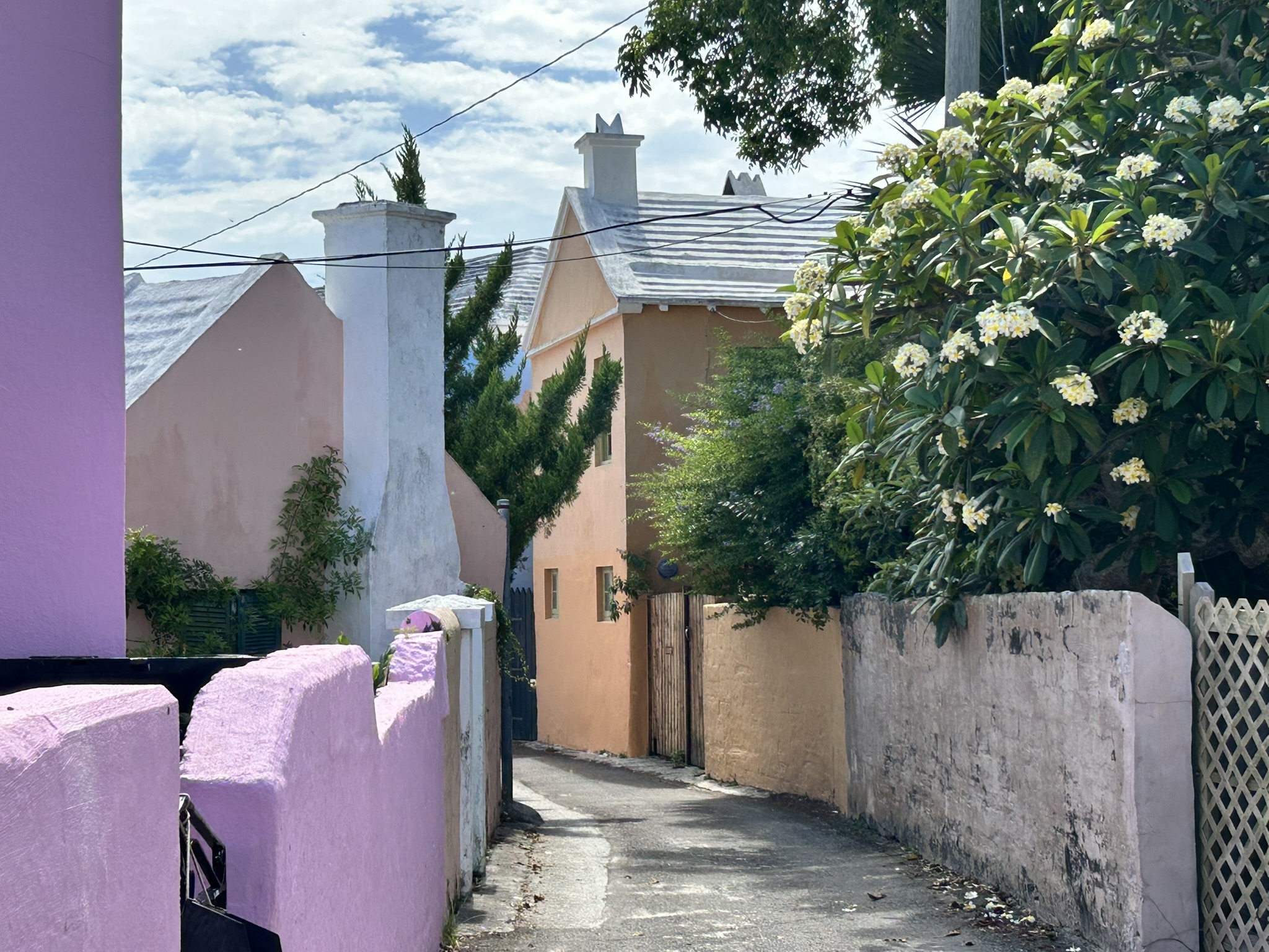 Do You Know Why Bermuda Has Colored Houses?